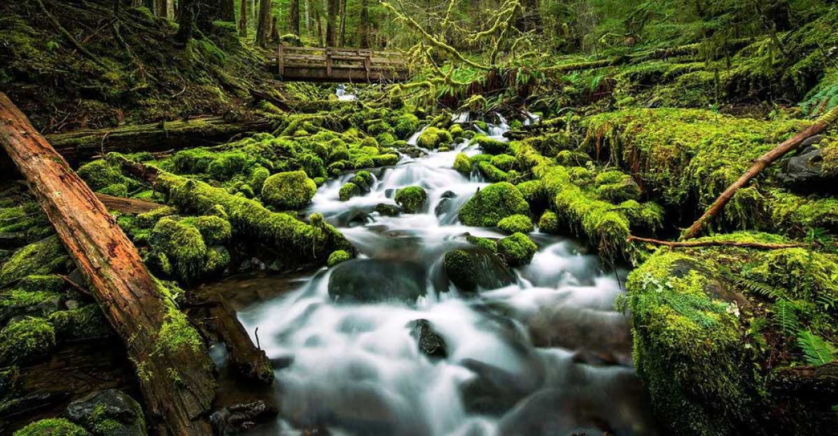 <span>নিউজ  সেভেন / </span>প্রাইম আইটি ওয়ার্ল্ড নিউজ-২৪ ডেমো নিউজ  সেভেন