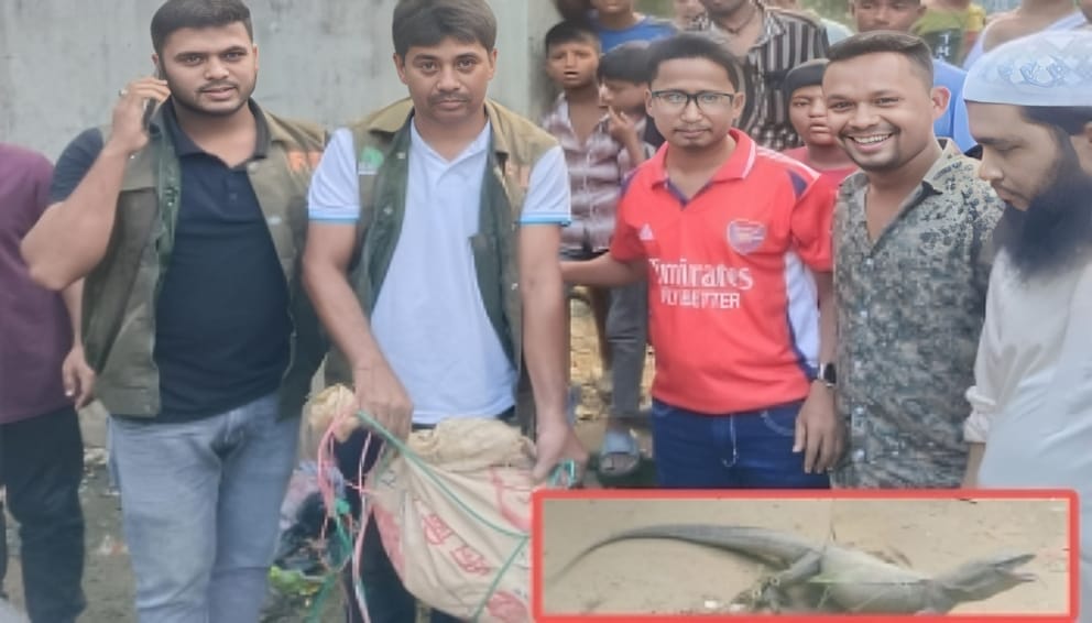 বিরল গুঁইসাপ উদ্ধার, বনবিভাগে হস্তান্তর করলেন ছাত্রদল নেতা