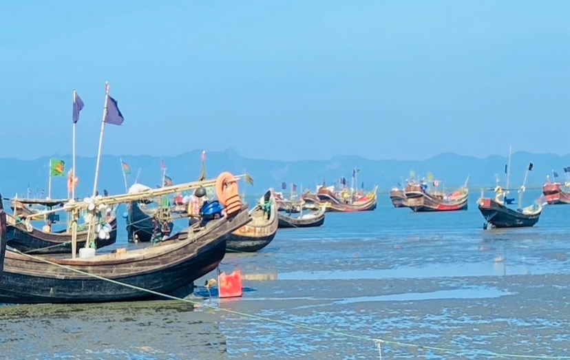 মাছ শিকারে যাওয়া ১২ জেলেকে ধরে নিয়ে গেল আরাকান আর্মি