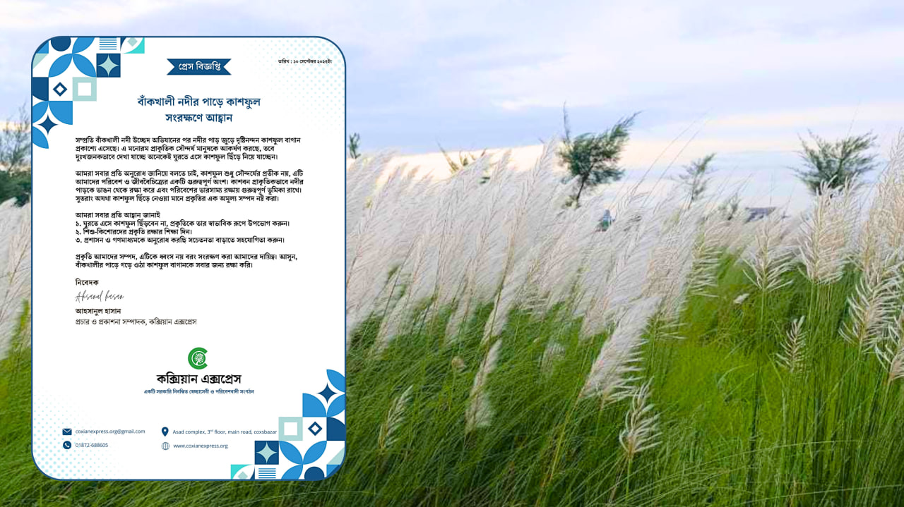 কক্সবাজারে বাঁকখালী নদীর কাশফুল বাগান রক্ষায় কক্সিয়ান এক্সপ্রেসের আহ্বান