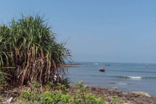 সেন্টমার্টিন নিয়ে ১২ নির্দেশনা জারি