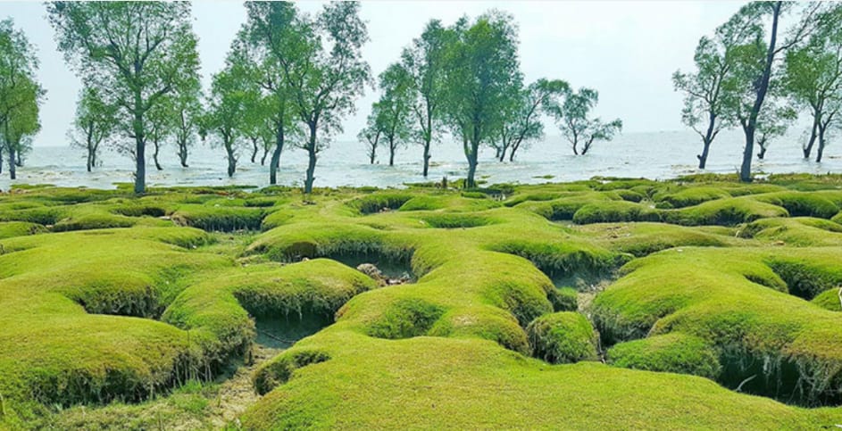রণক্ষেত্র সমুদ্র সৈকত, পর্যটকসহ আহত ১২