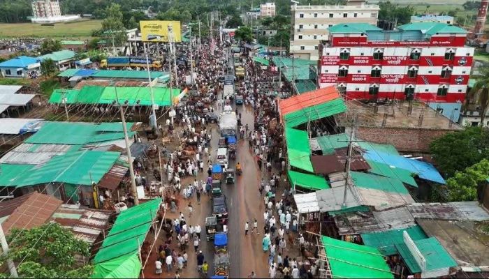 টেন্ডারে মিলেনি নির্ধারিত দর, আবারও খাস কালেকশনে যাচ্ছে ঈদগাঁও গরুর বাজার